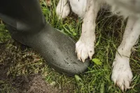 Hillside_Flex_Boot_12